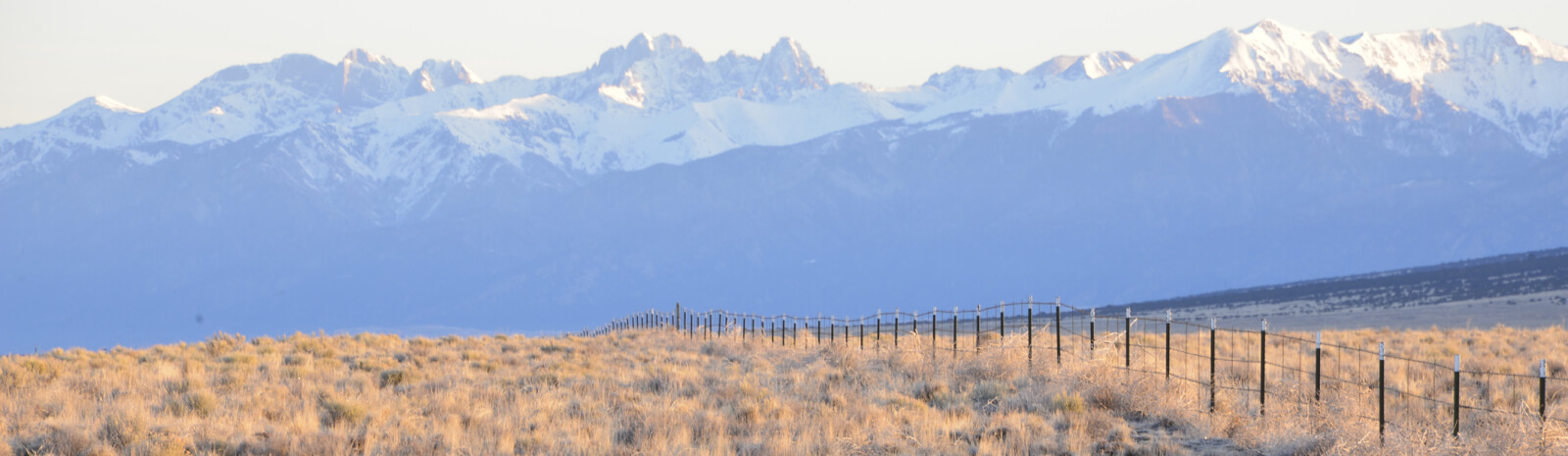 field with mountains in distance