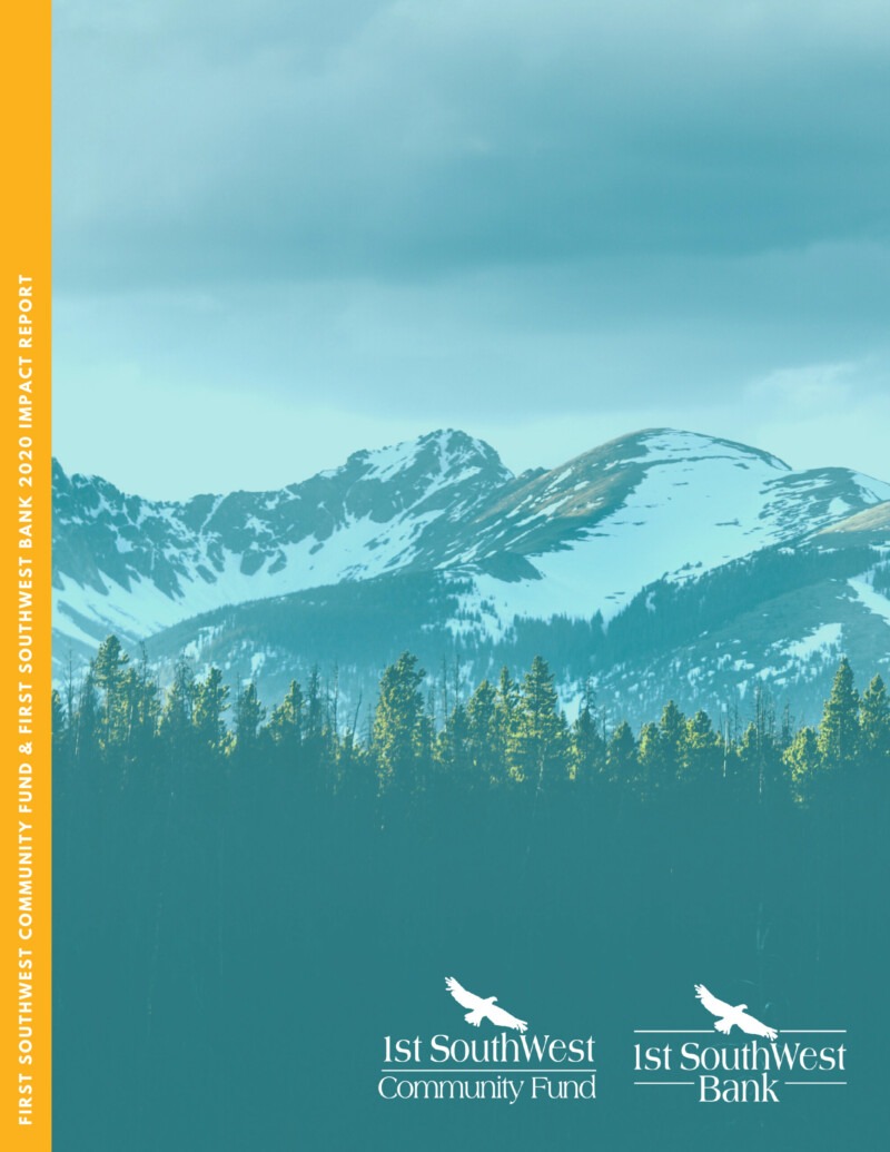 2020 Impact Report