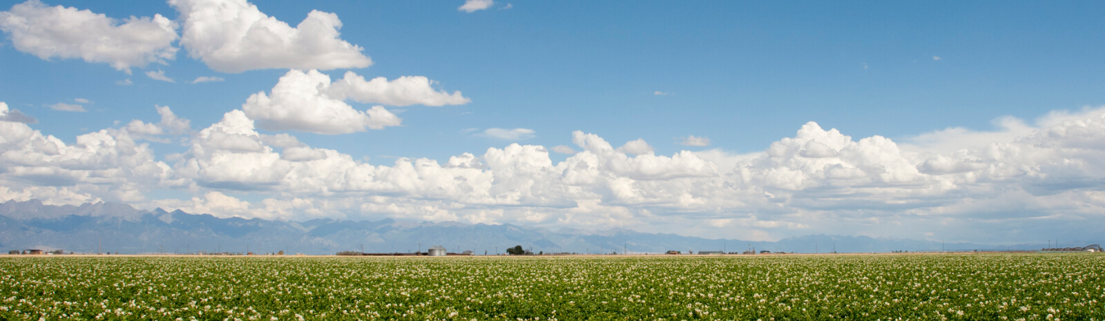 sky and land